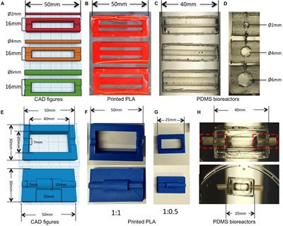 Transparent PDMS Bioreactors for the Fabrication and Analysis of Multi-Layer Pre-vascularized Hydrogels Under Continuous Perfusion